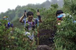 BIB: 
                            <button type="button" onclick="openModal(24741599)" class="btn btn-primary btn-sm float-right btn-popup" data-toggle="modal" data-target=".modal-high-quality">
                        <i class="fas fa-shopping-cart"></i> Add to Cart
                    </button>
                                            <button type="button" onclick="isThisMe(24741599, true)" class="btn btn-success btn-sm float-right btn-popup btn-isme hidden" data-toggle="tooltip" data-placement="bottom" title="นี่คือรูปของคุณใช่ไหม คลิกที่นี่เพื่อเอาเข้าอัลบั้ม">
                        <i class="fas fa-plus"></i> Add to album
                    </button>
                    <button type="button" onclick="isThisMe(24741599, false)" class="btn btn-warning btn-sm float-right btn-popup btn-isnotme hidden">
                        <i class="fas fa-ban"></i> Remove from album
                    </button>